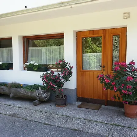 Apartman Ferienwohnung Steger Mayrhofen