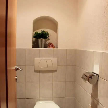 Ferienwohnung Steger Apartman Mayrhofen
